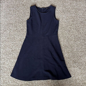 Theory Womens Navy White Fit And‎ Flare Sleeveless Stretch Viscose Dress Small